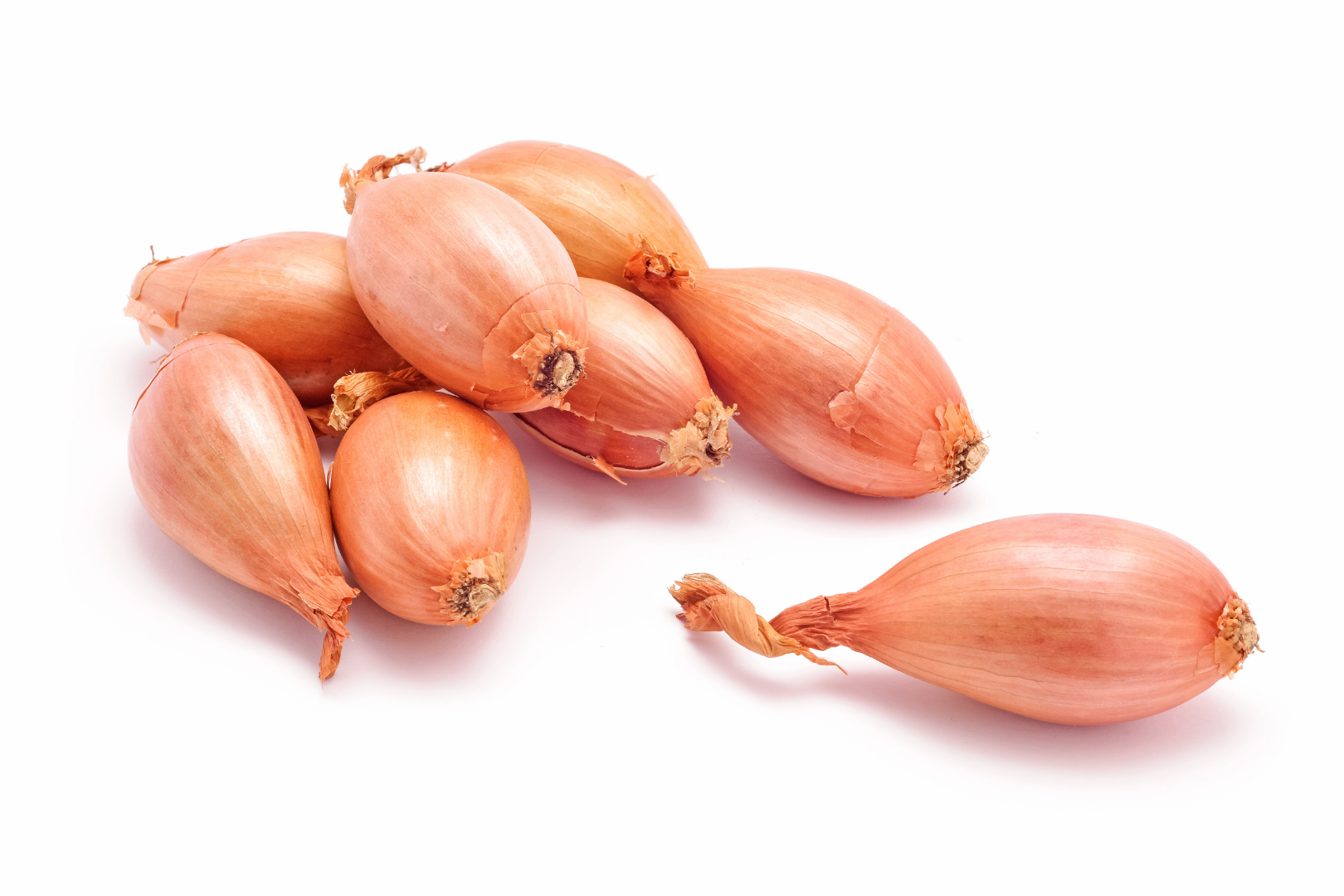 Image of Banana Shallots supplied by Queentana Fresh