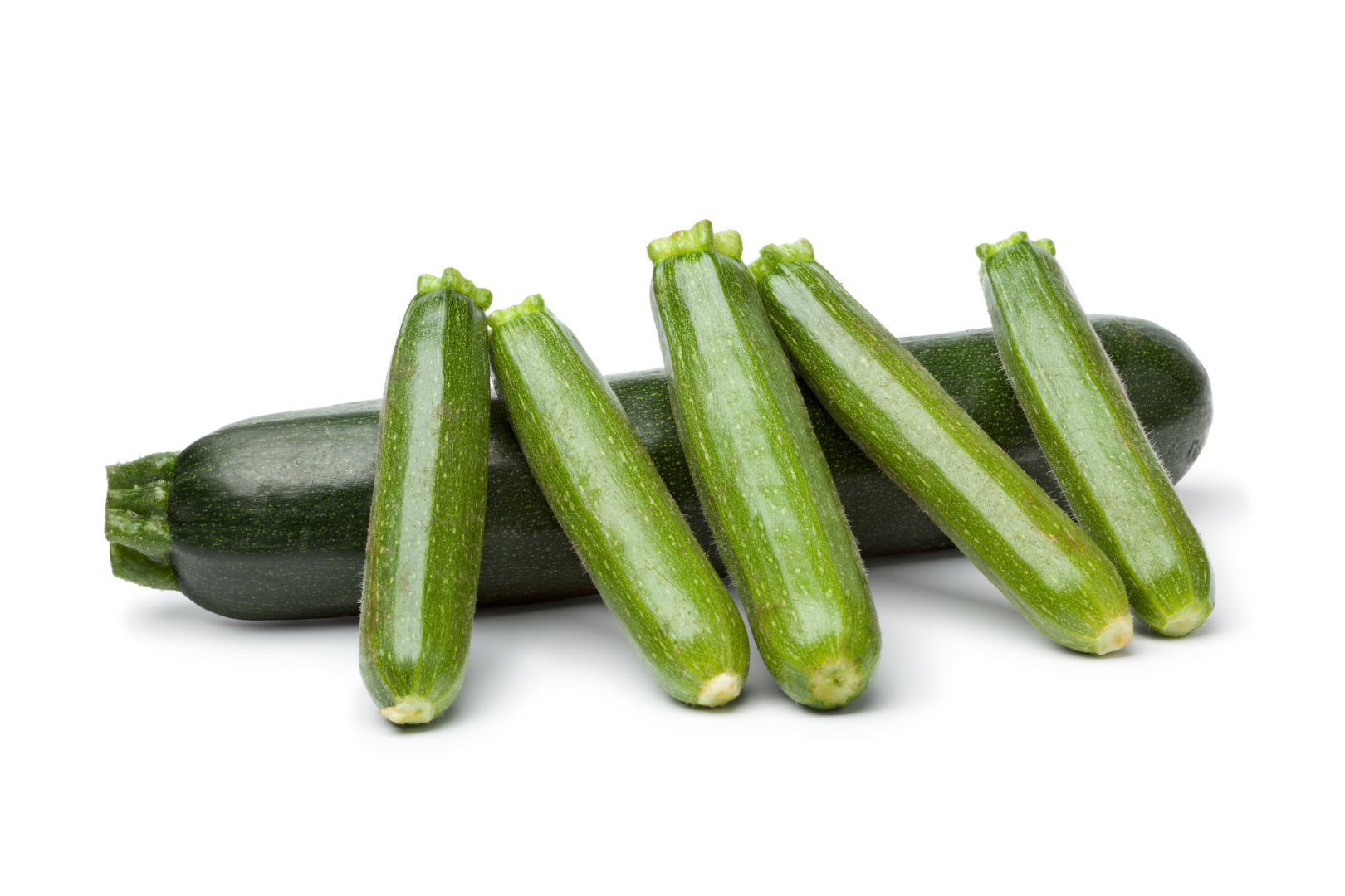 Image of Courgette supplied by Queentana Fresh