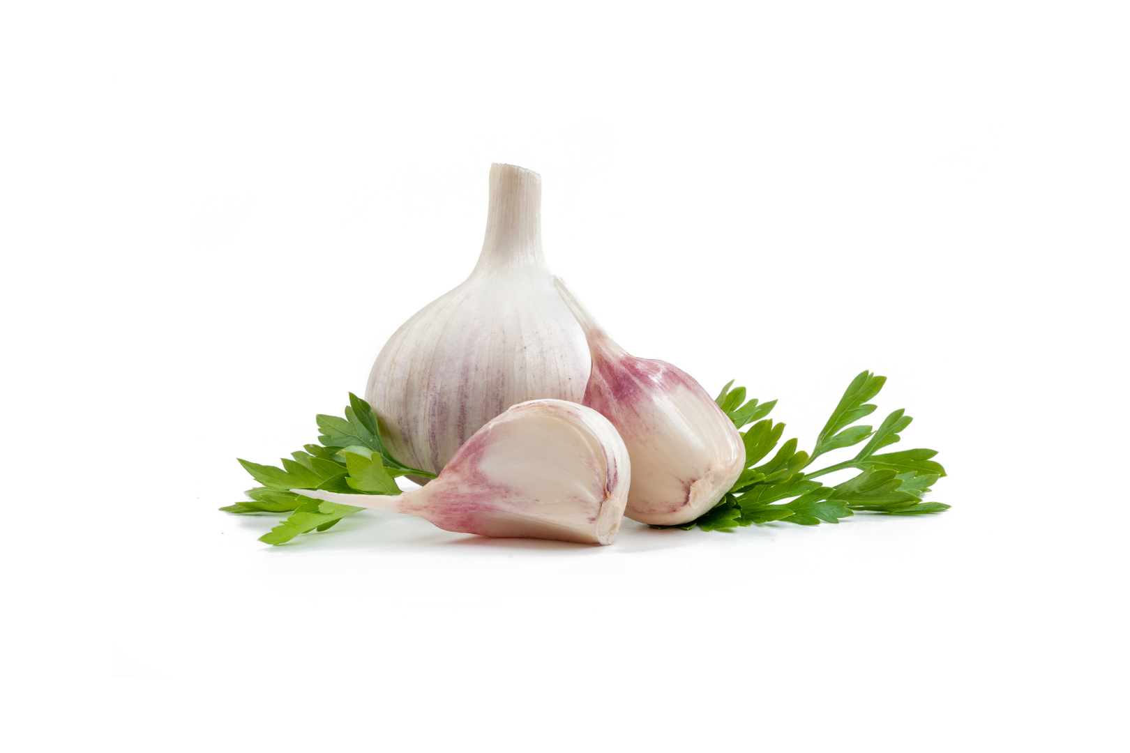 Image of Garlic Purple supplied by Queentana Fresh