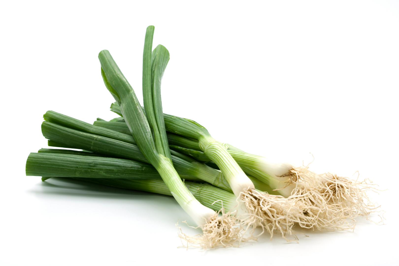 Image of Scallions supplied by Queentana Fresh