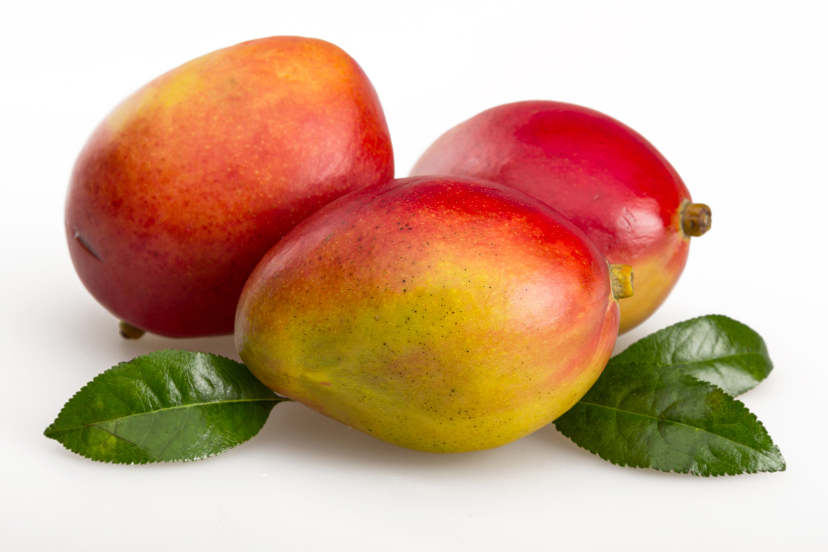 Image of Tommy Atkins Mango supplied by Queentana Fresh