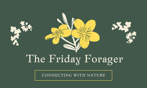 Friday Forager Logo