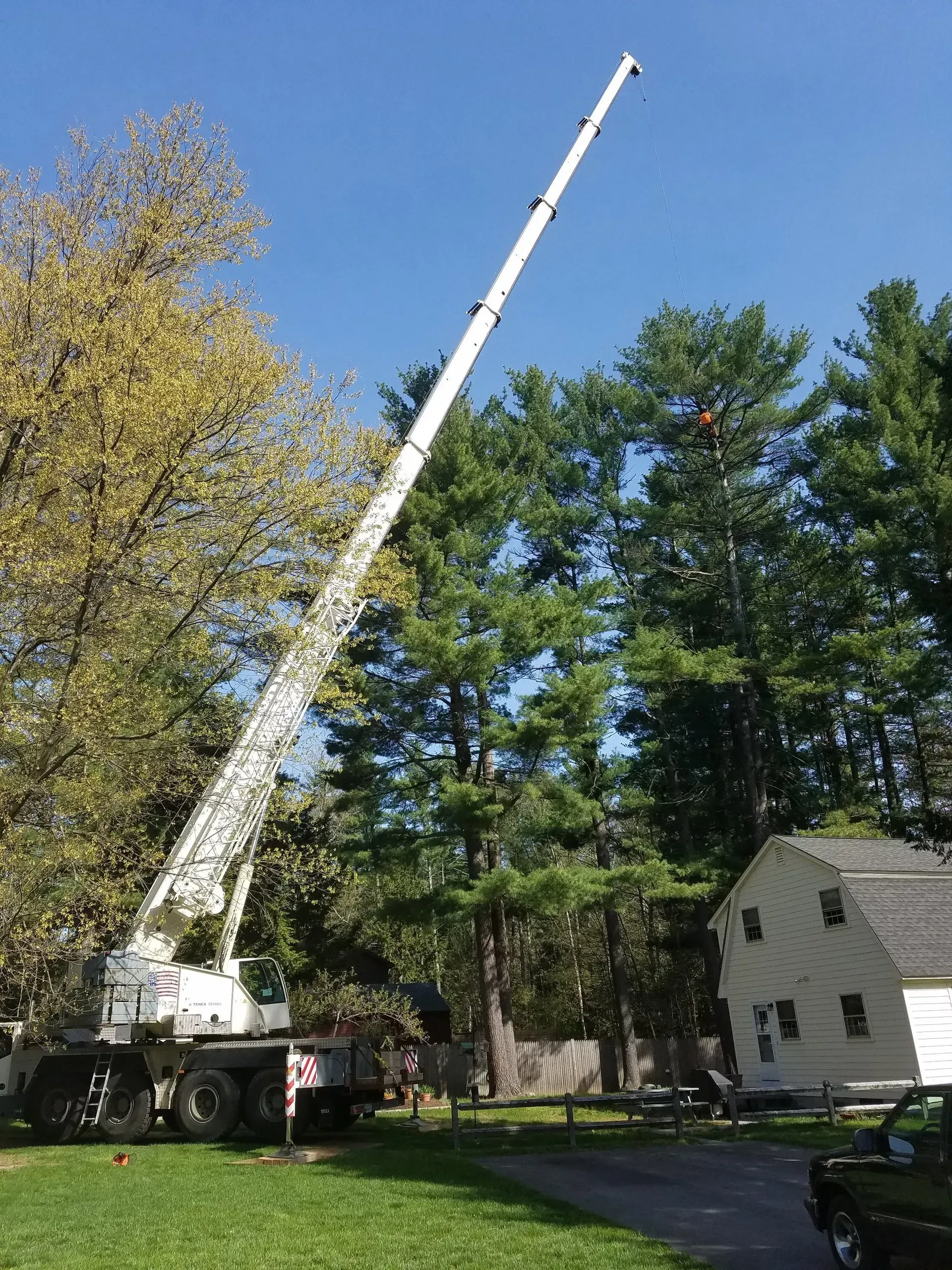 Souhegan Valley Tree Service