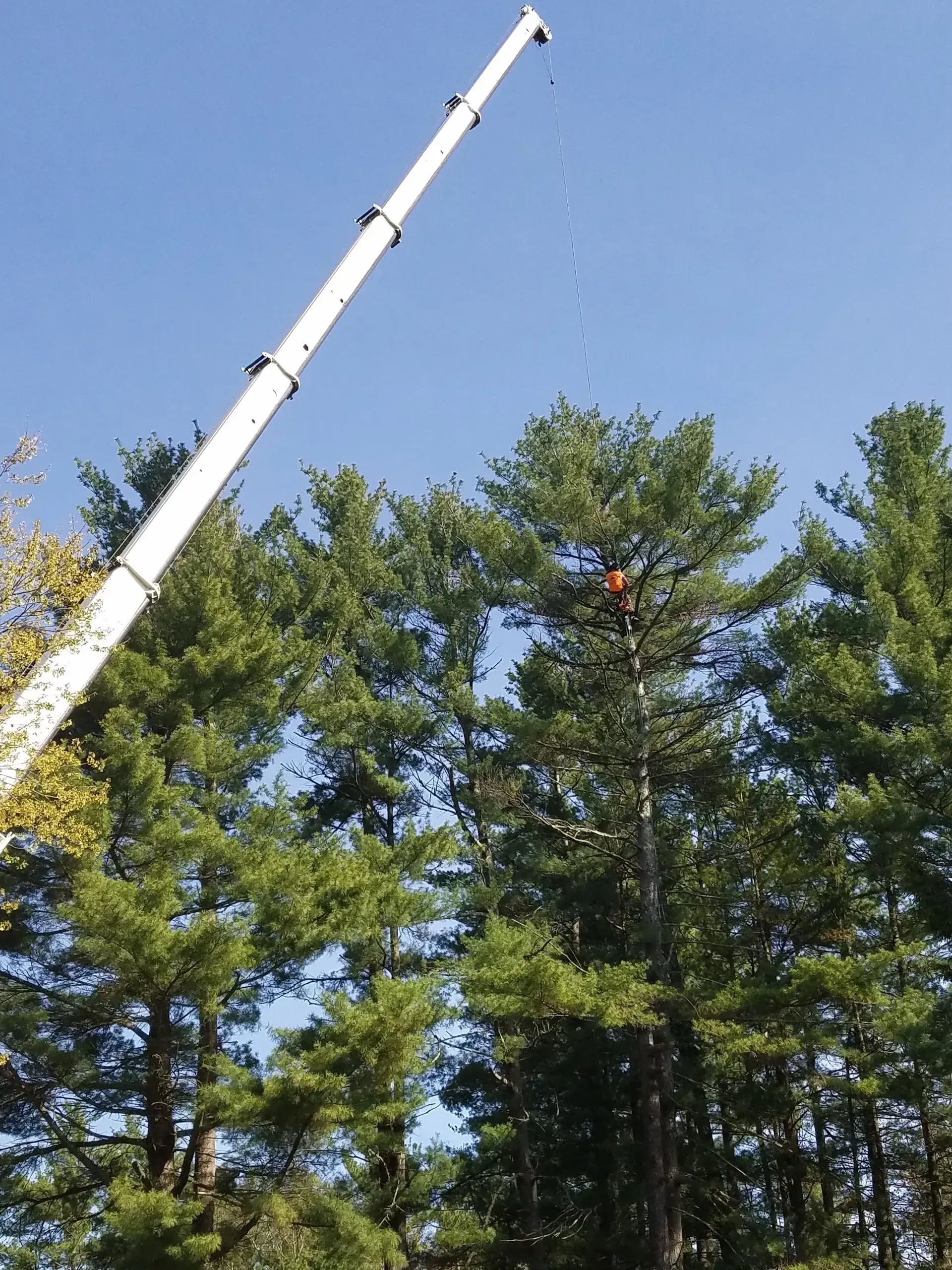 Souhegan Valley Tree Service