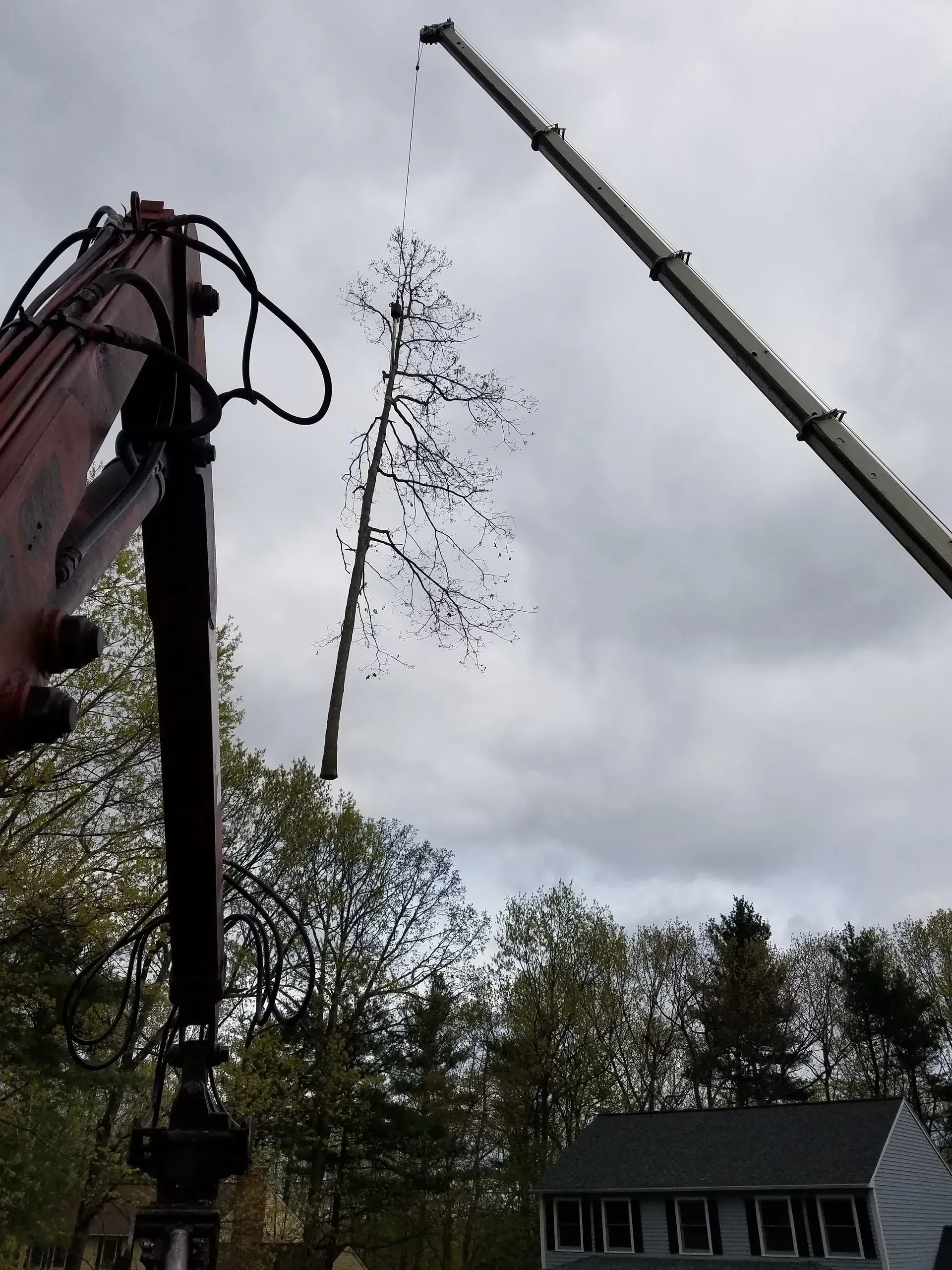 Souhegan Valley Tree Service