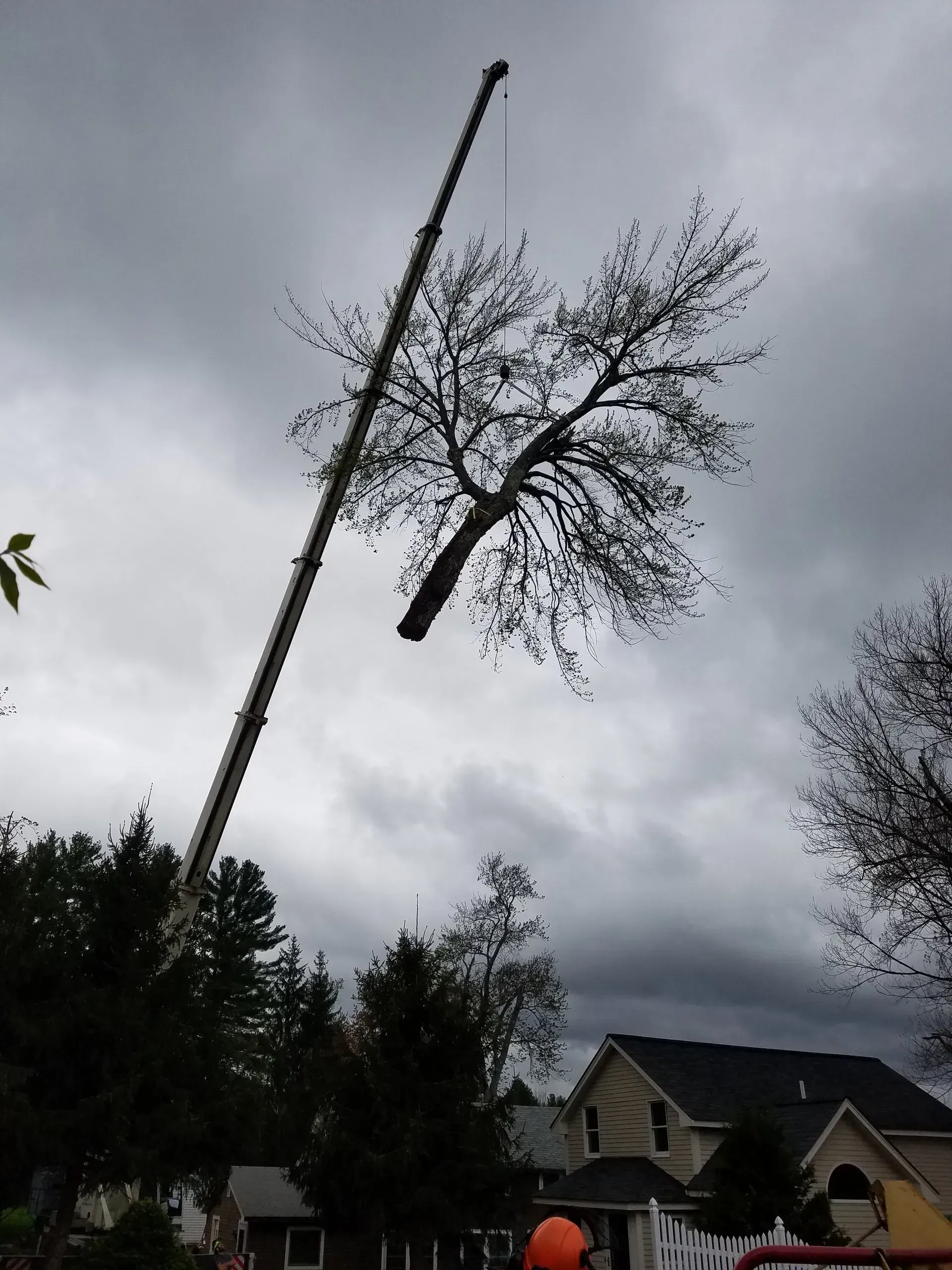 Souhegan Valley Tree Service
