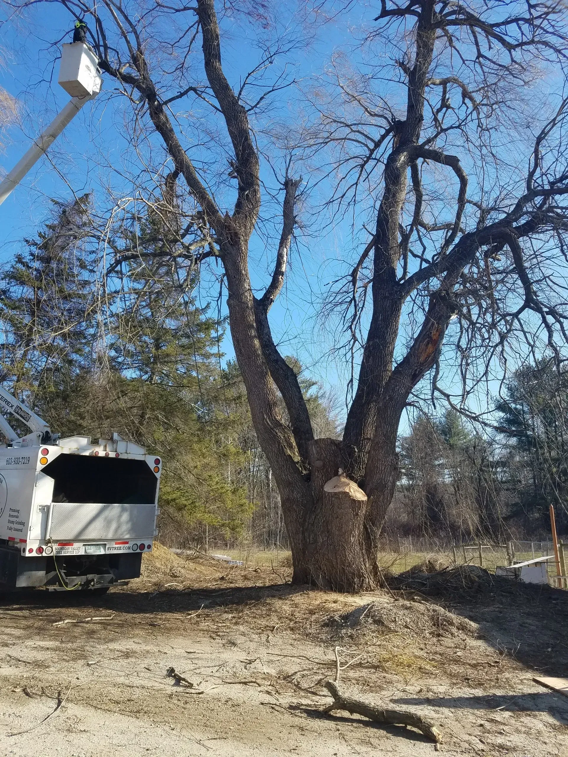 Souhegan Valley Tree Service