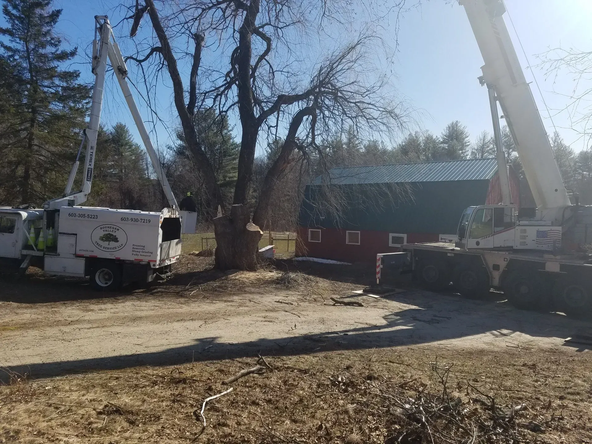 Souhegan Valley Tree Service