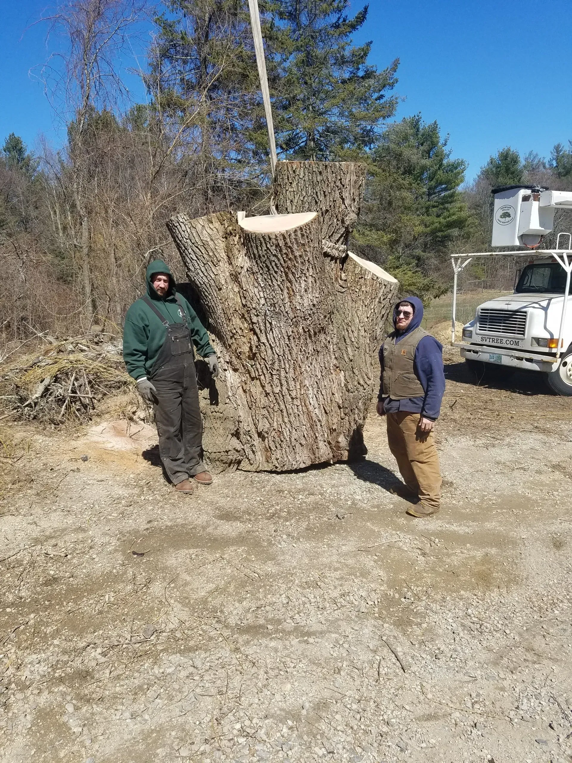 Souhegan Valley Tree Service
