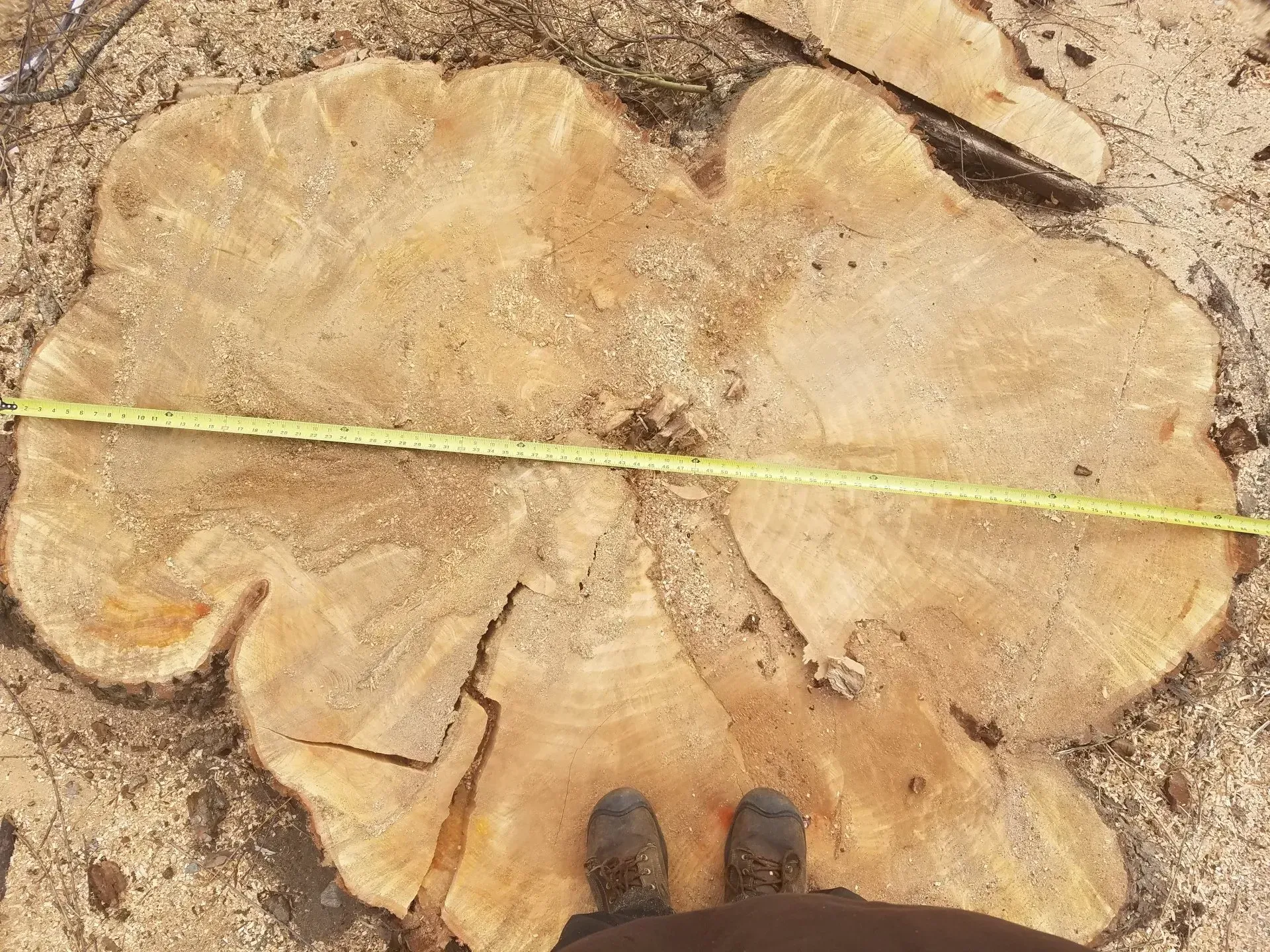 Souhegan Valley Tree Service