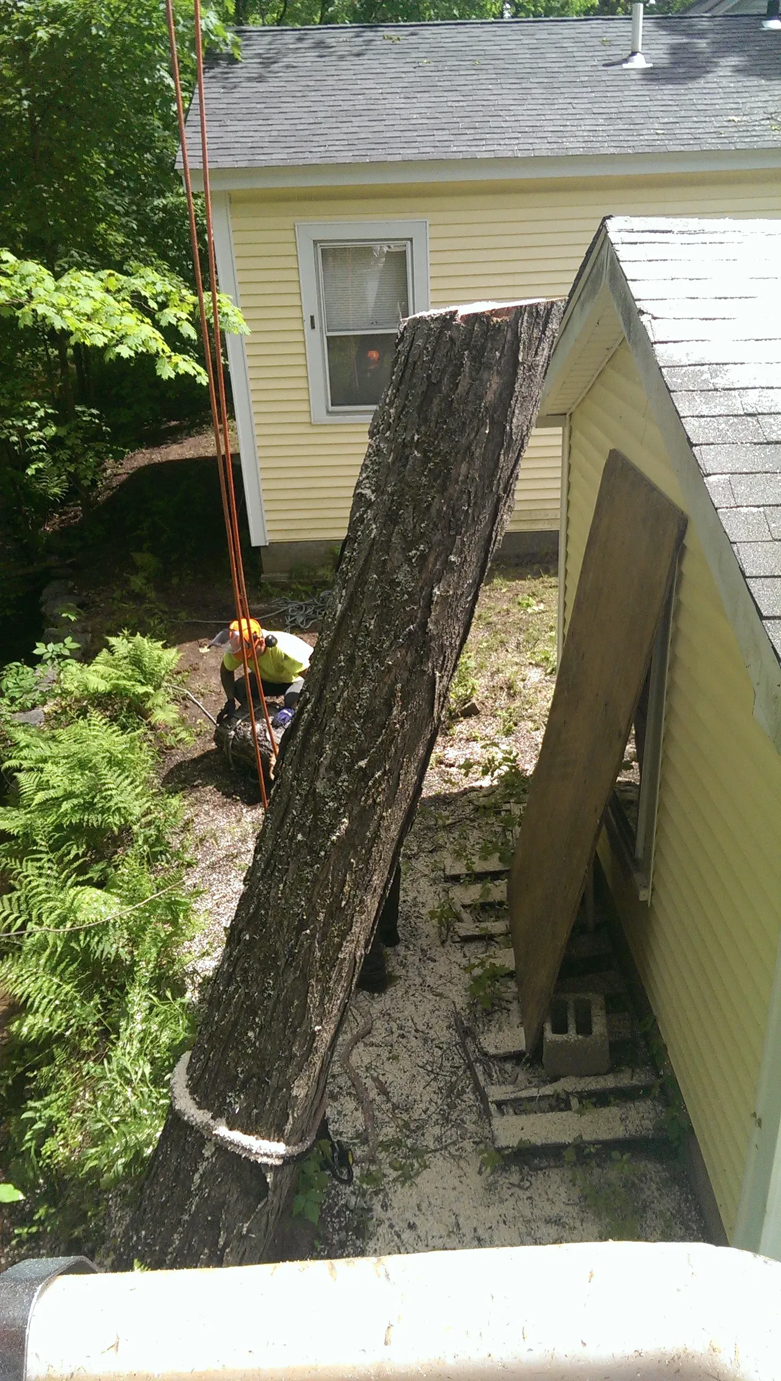 Souhegan Valley Tree Service
