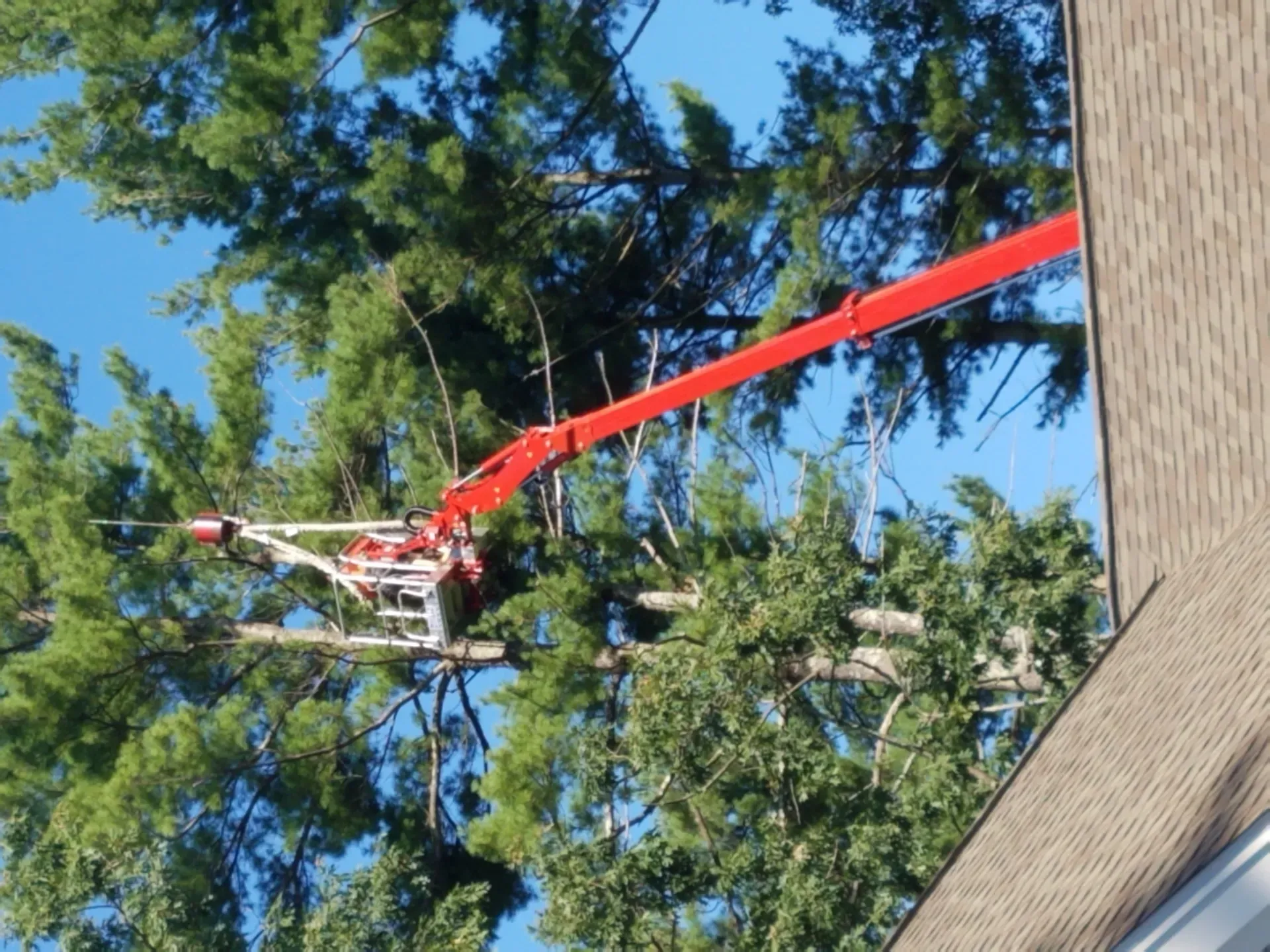 Souhegan Valley Tree Service
