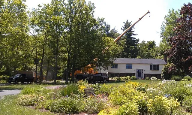 Souhegan Valley Tree Service