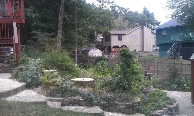 Souhegan Valley Tree Service