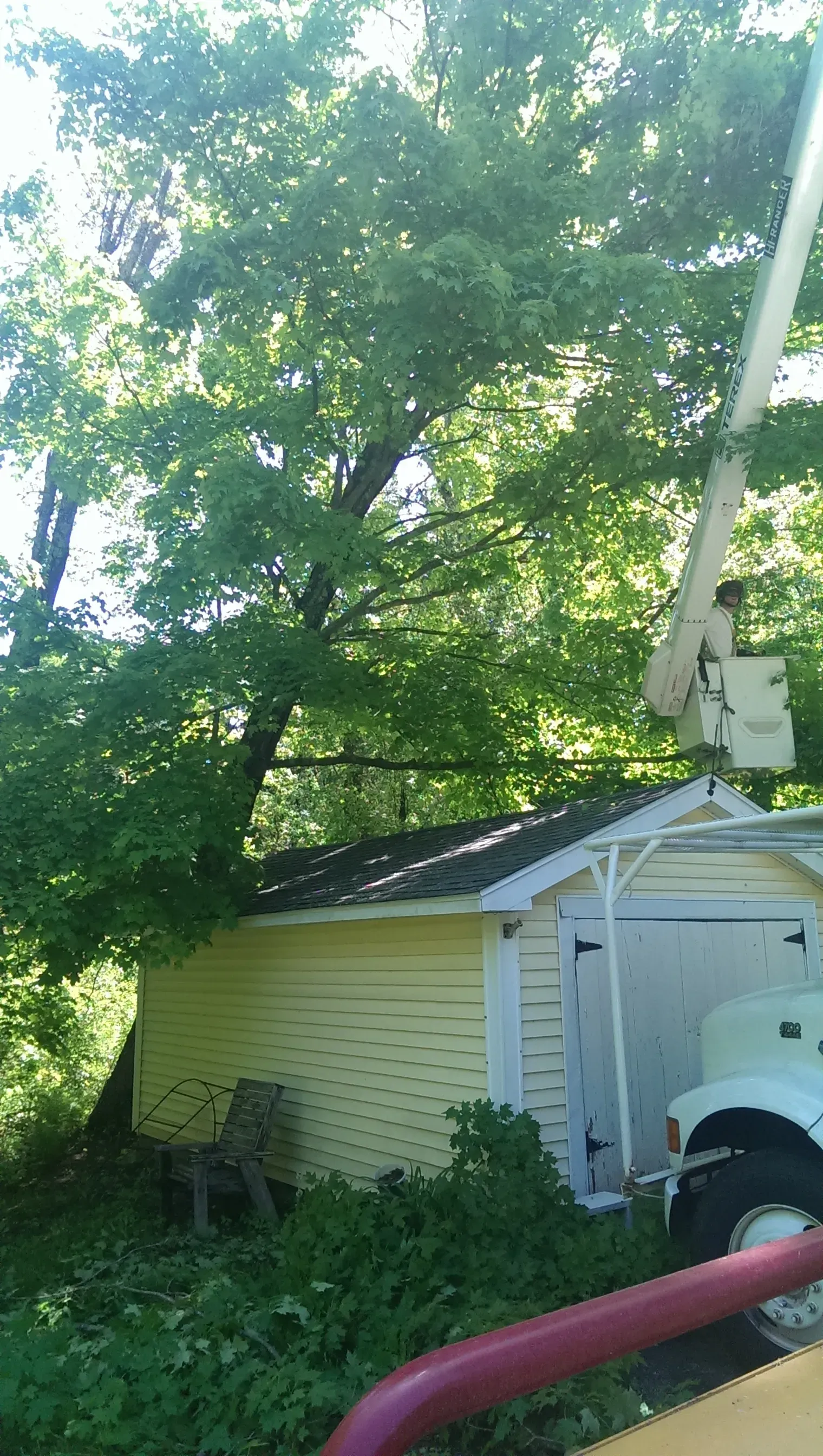 Souhegan Valley Tree Service