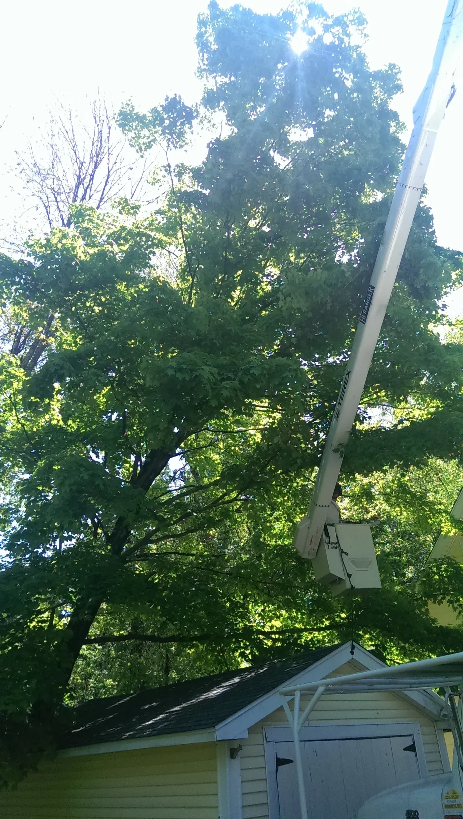 Souhegan Valley Tree Service