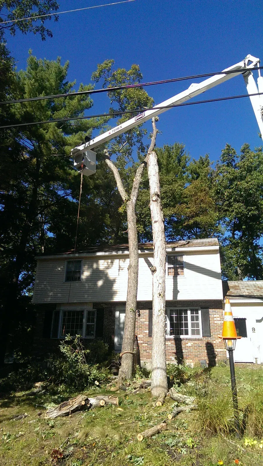 Souhegan Valley Tree Service