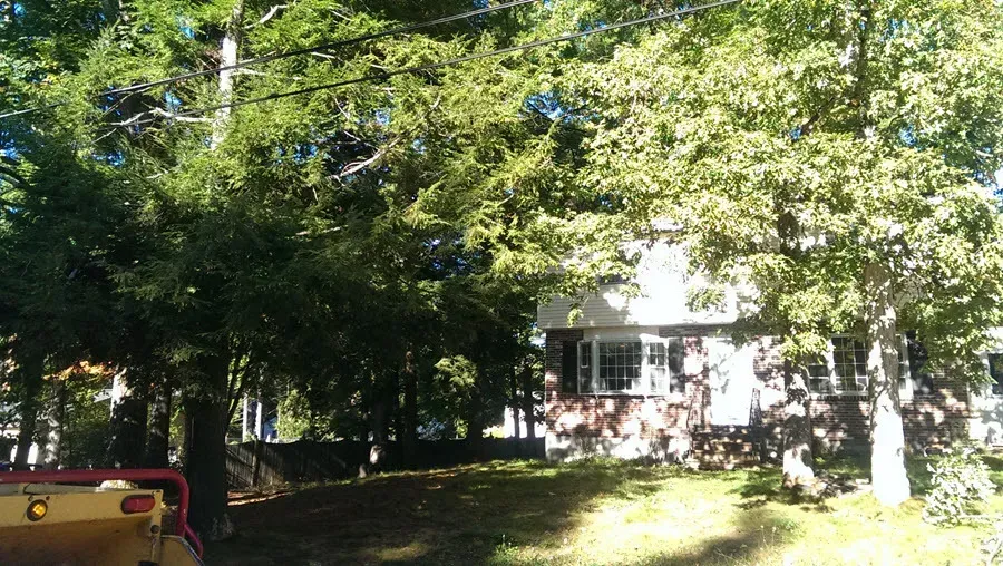 Souhegan Valley Tree Service