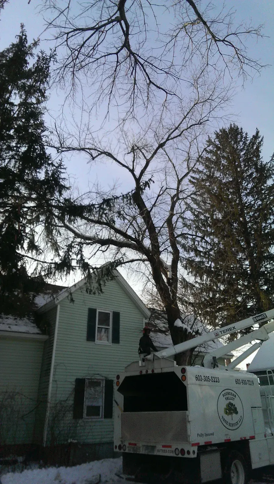 Souhegan Valley Tree Service