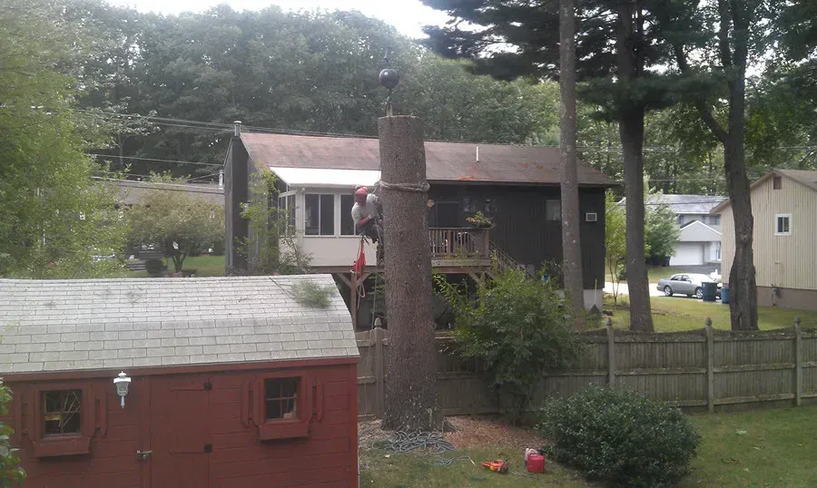 Souhegan Valley Tree Service