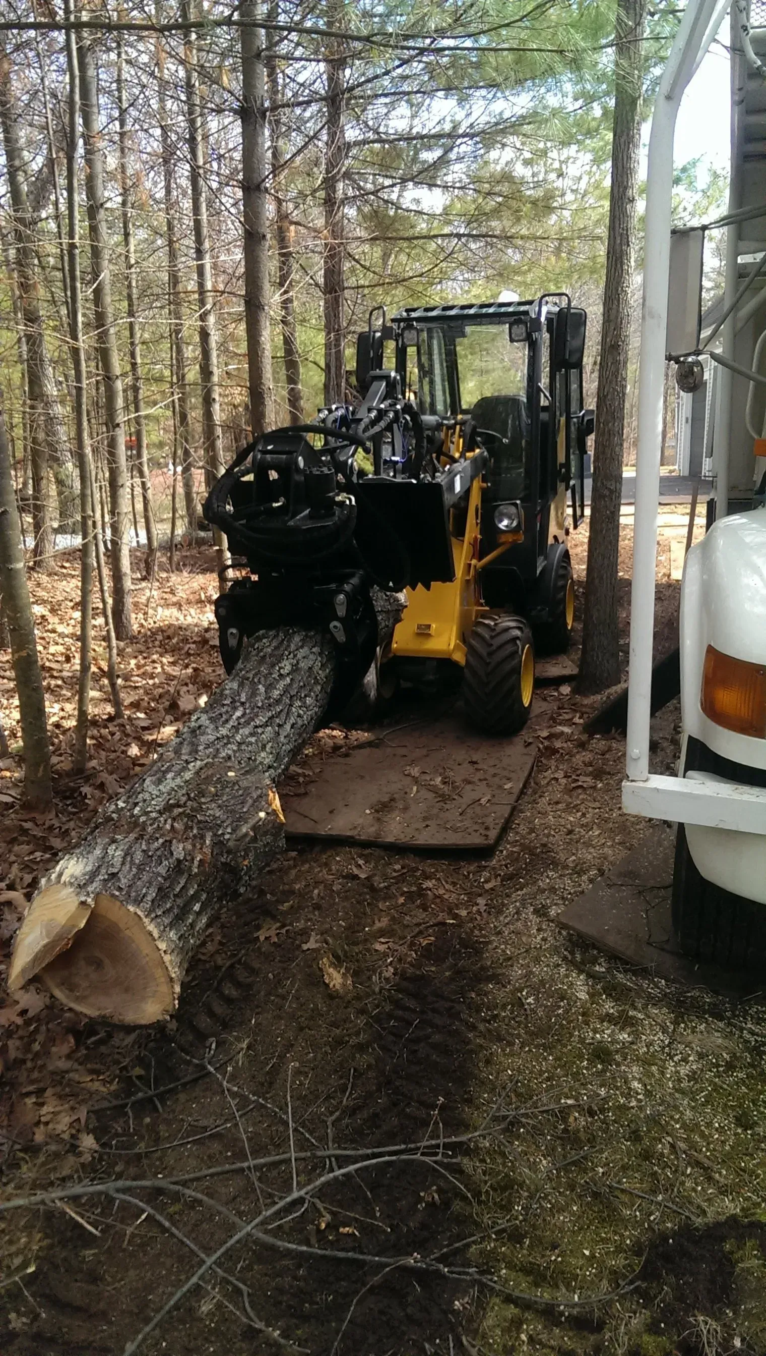 Souhegan Valley Tree Service