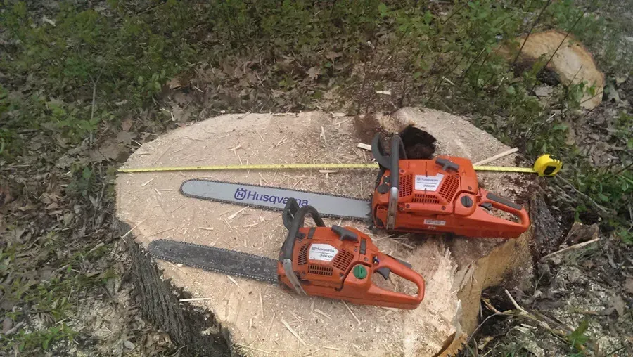 Souhegan Valley Tree Service