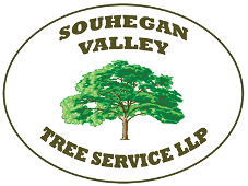 Souhegan Valley Tree Service