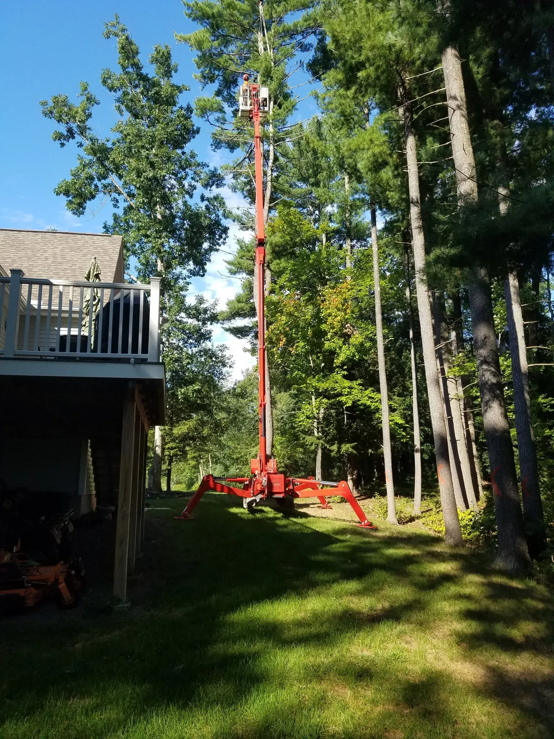 Souhegan Valley Tree Service