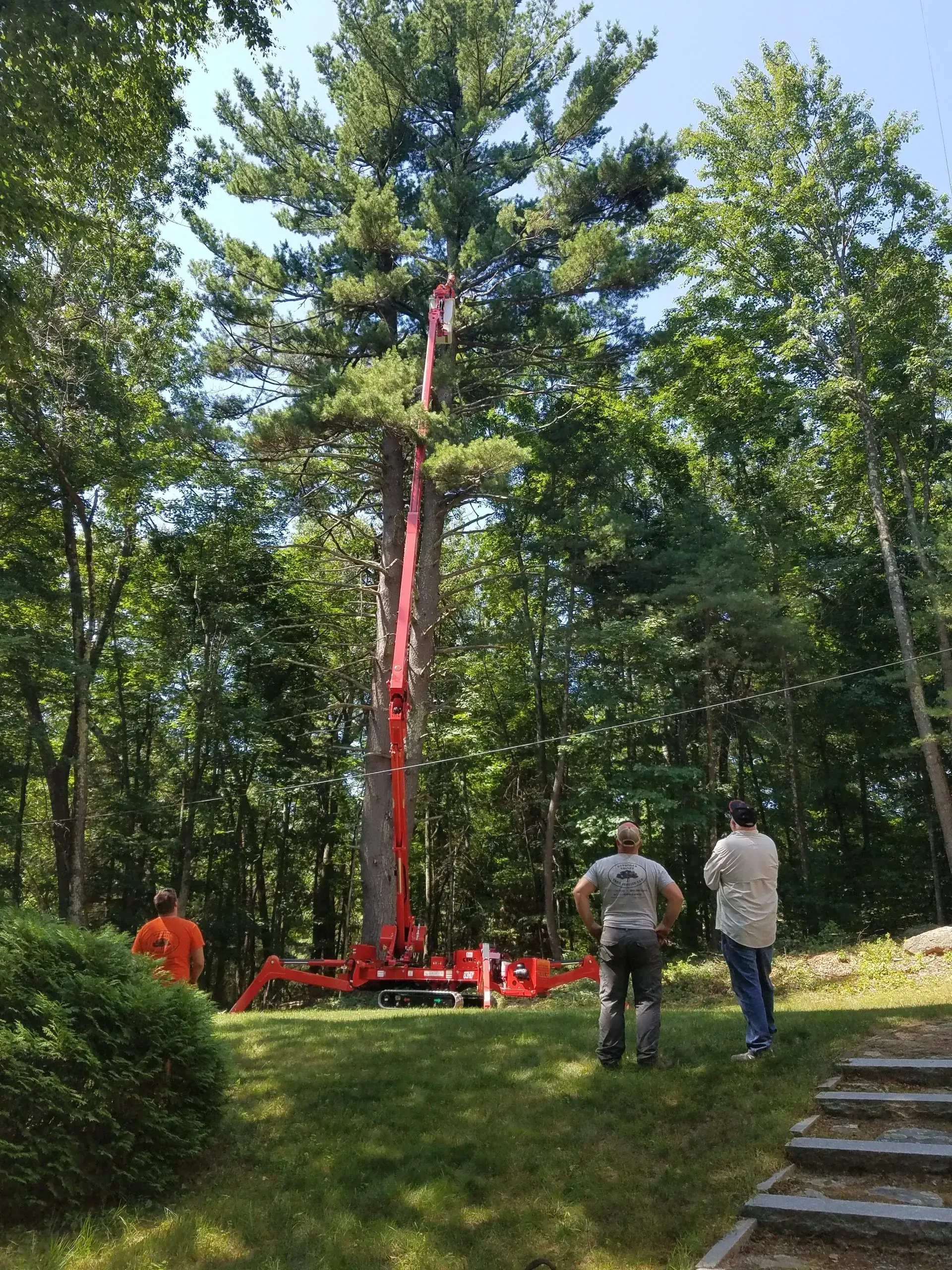 Souhegan Valley Tree Service
