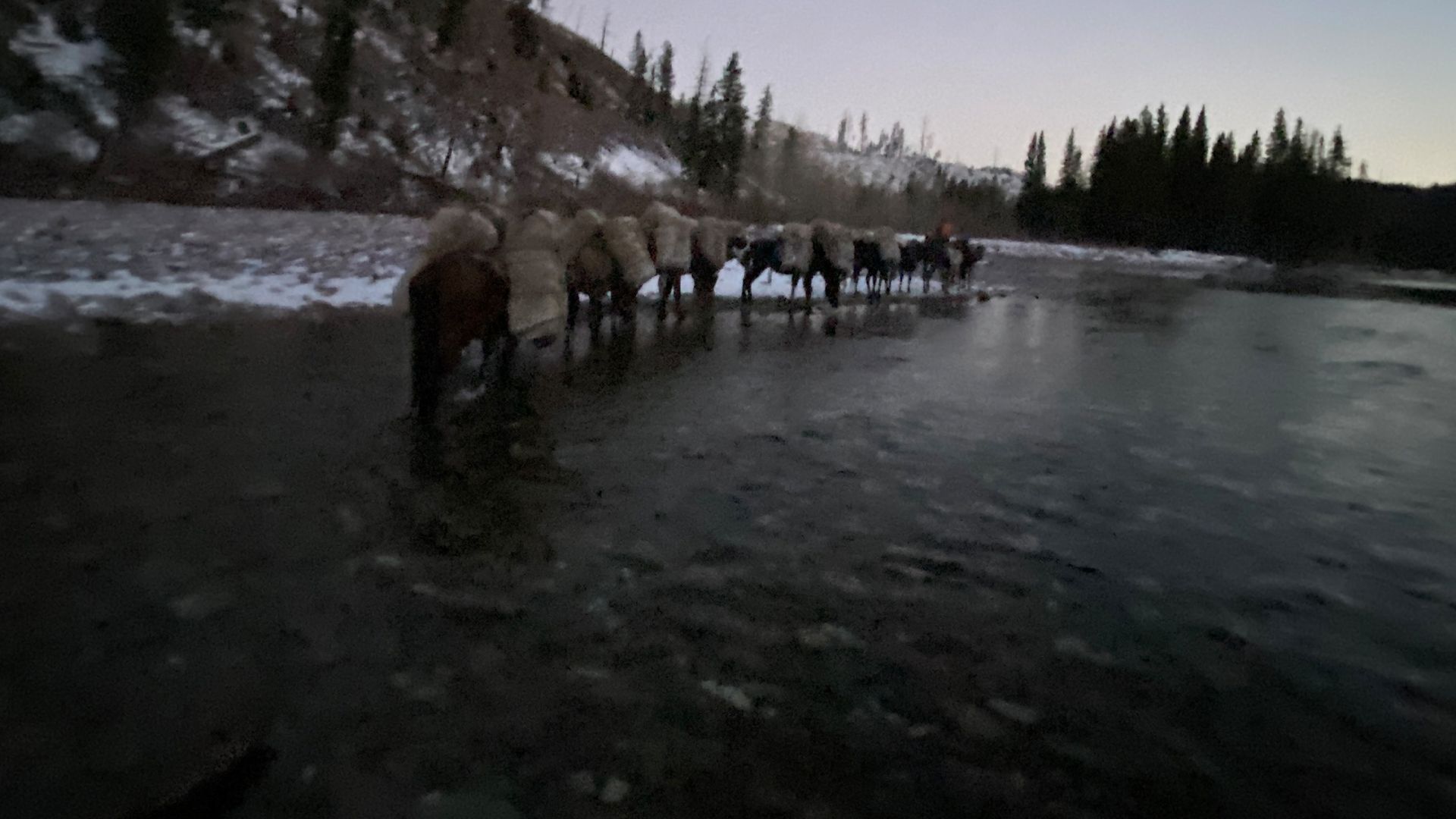 A group of people are fishing in a river.