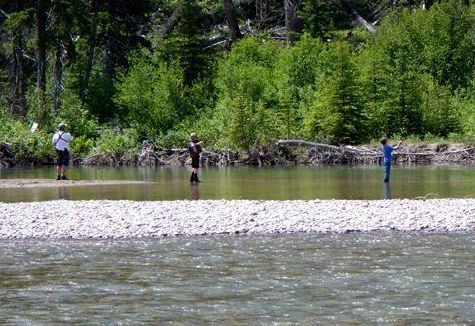 A group of people are fishing in a river.
