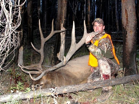A man is kneeling next to a large elk in the woods.