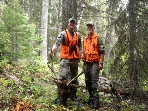 Two men are standing in the woods holding a deer.