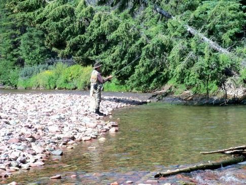 A man is fishing in a river with trees in the background.