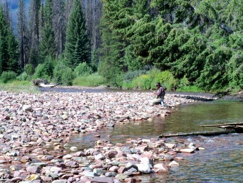 A man is fishing in a river surrounded by trees.