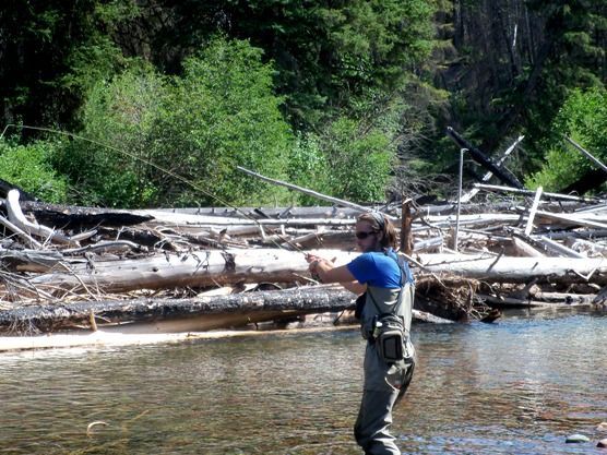 A man in a blue shirt is fishing in a river.