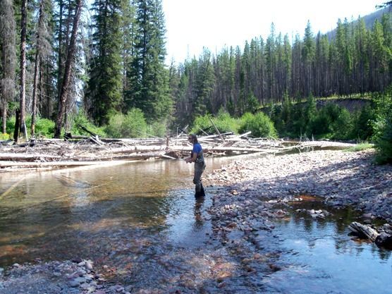 A man is fishing in a river surrounded by trees