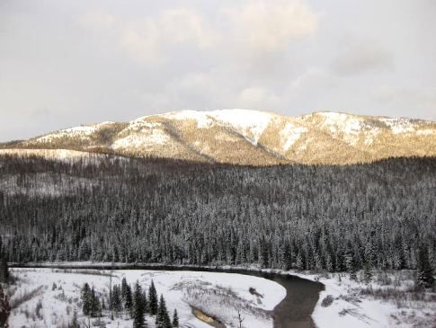 A river runs through a snowy forest with mountains in the background