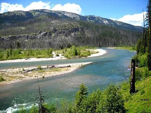 A river flowing through a forest with mountains in the background