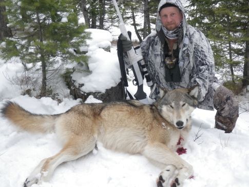 A man is standing next to a wolf in the snow