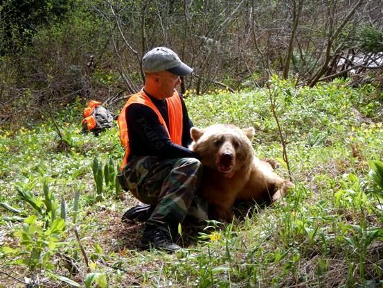 A man is petting a brown bear in the woods.