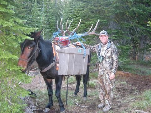 A man is standing next to a horse with antlers on it.