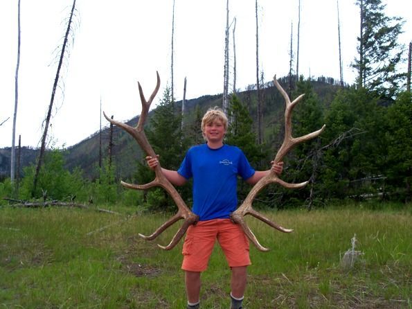 A boy in a blue shirt and orange shorts is holding antlers in a field.