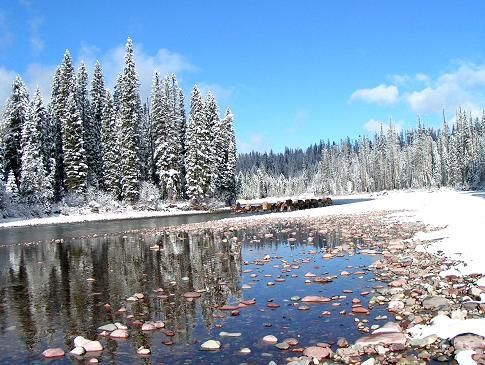 A river surrounded by snow covered trees and rocks