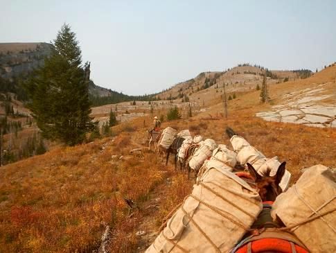 A person is riding a horse in a field with mountains in the background.