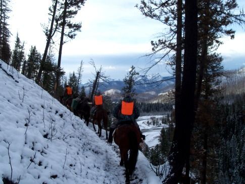 A group of people riding horses down a snowy path