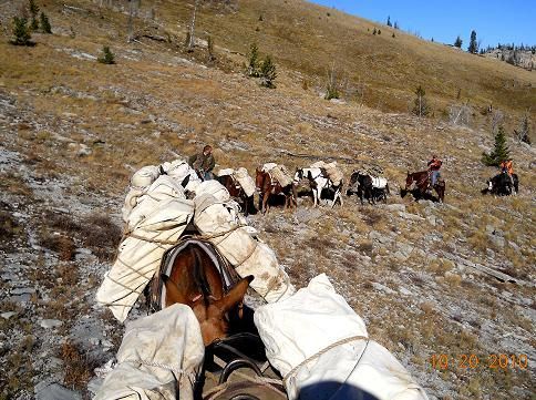 A person riding a horse with a bunch of bags on it