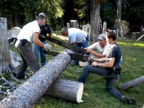 A group of men are cutting a log with a chainsaw