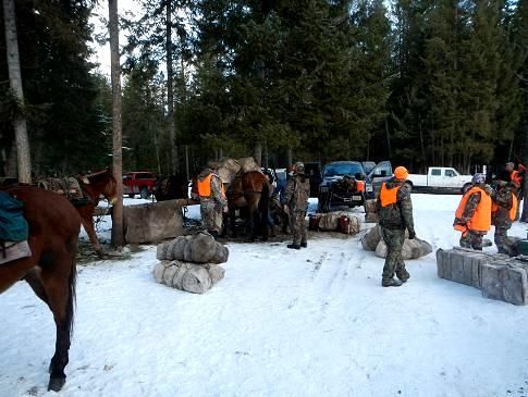A group of people are standing around a horse in the snow.