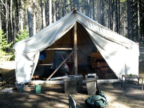 A large white tent in the middle of a forest